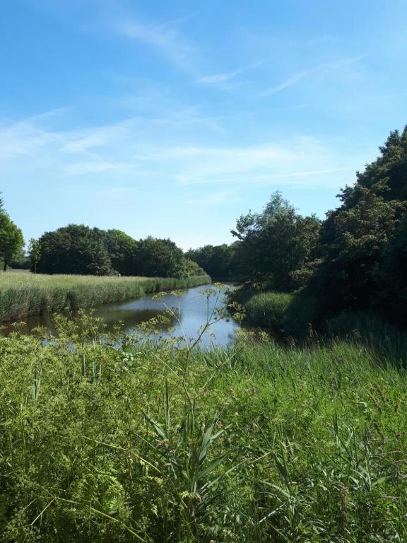 Vakantiehuisje Martina 17 Vlissingen Bagian luar foto